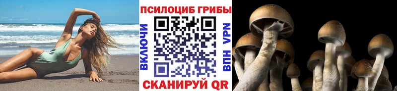 Галлюциногенные грибы мицелий  Новое Девяткино 